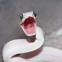 t/g thâm hại!!!!