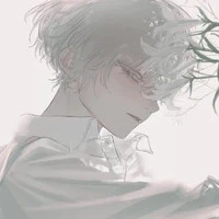 017 ( Rio )
