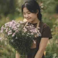Cao hà mai 