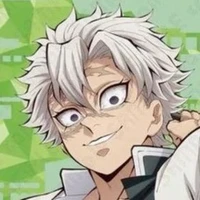 shinazugawa sanemi (A)