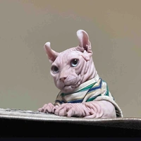Meow 