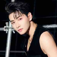 Huỳnh Hoàng Hùng (Gemini)