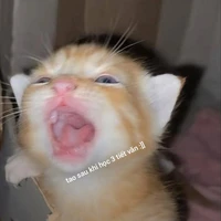 Dịt sau khi học văn :]]