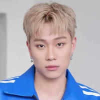 dương domic