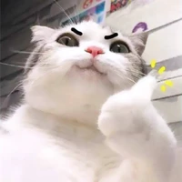 Nhỏ t/g