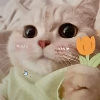 tác giả