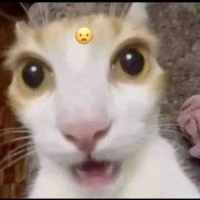 HT Mồn lèo