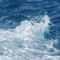 Tất cả mọi người