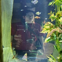 Phan Việt Hoàng-Hk15