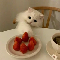 𝙸𝚣.𝚑𝚊𝚔𝚣🌷(Tác giả)