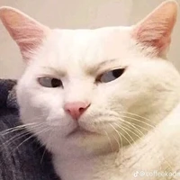 đủ loại người👍👀