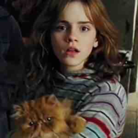 Hermione Granger 