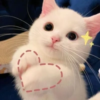 All -