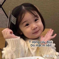 Kimchiiiii