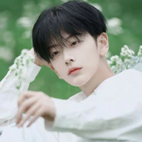 Minh Huy