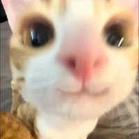 Đừg lo gì cả đã có t/g