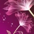 nhân vật tổng hợp