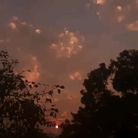 All(Trừ những người cần trừ)