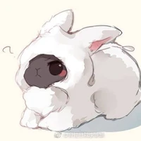 Hệ thống thỏ đen- Kuro Usagi