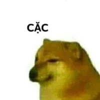 Tác giả