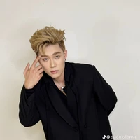 dương domic
