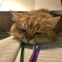 hãy iu thương t/g