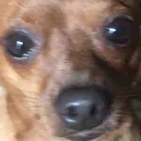 T/g cuteo🥰👉🏻👈🏻