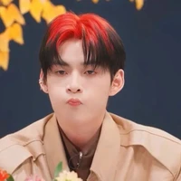 Huỳnh Hoàng Hùng( Gemini Hùng Huỳnh)