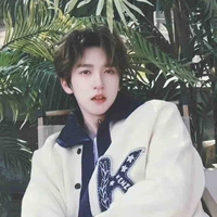 Hạ Tuấn Lâm 