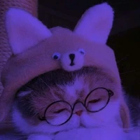 Son Miyu