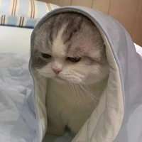 Tác giả chinh gái