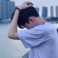 Bùi diễn chi