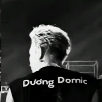 Đăng Dương(Dương Domic)