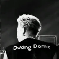 Đăng Dương(Dương Domic)