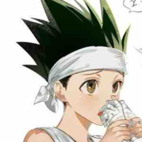 Gon Freecss 