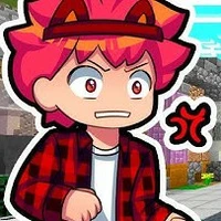 st_Hachi