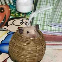 Me [ tổ phó t3][ xx.D.10 ]