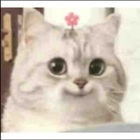 Nguyên [ lớp trưởng phế]