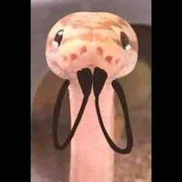 Trúc [ lớp phó văn nghệ]