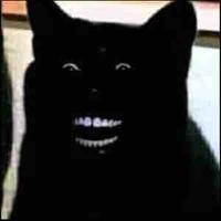 Các con báo của lớp 