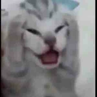 Trâm 2 [ tổ trưởng tổ 1]