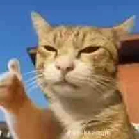 Cô Trang [GV toán]