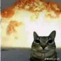 All - mấy đứa trong lớp  [ trừ ai  kệ]