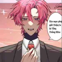 Tt hiha