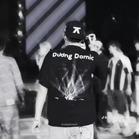 trần đăng dương (dương domic)