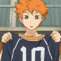 Hinata Shoyo🍊