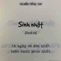 N/v phụ 