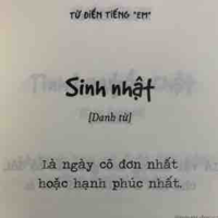 N/v phụ 