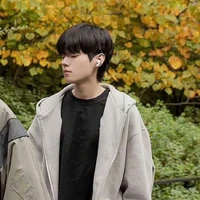 Alpaca.Deft