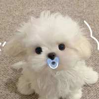 nhỏ tác giả cute phô mai que:3